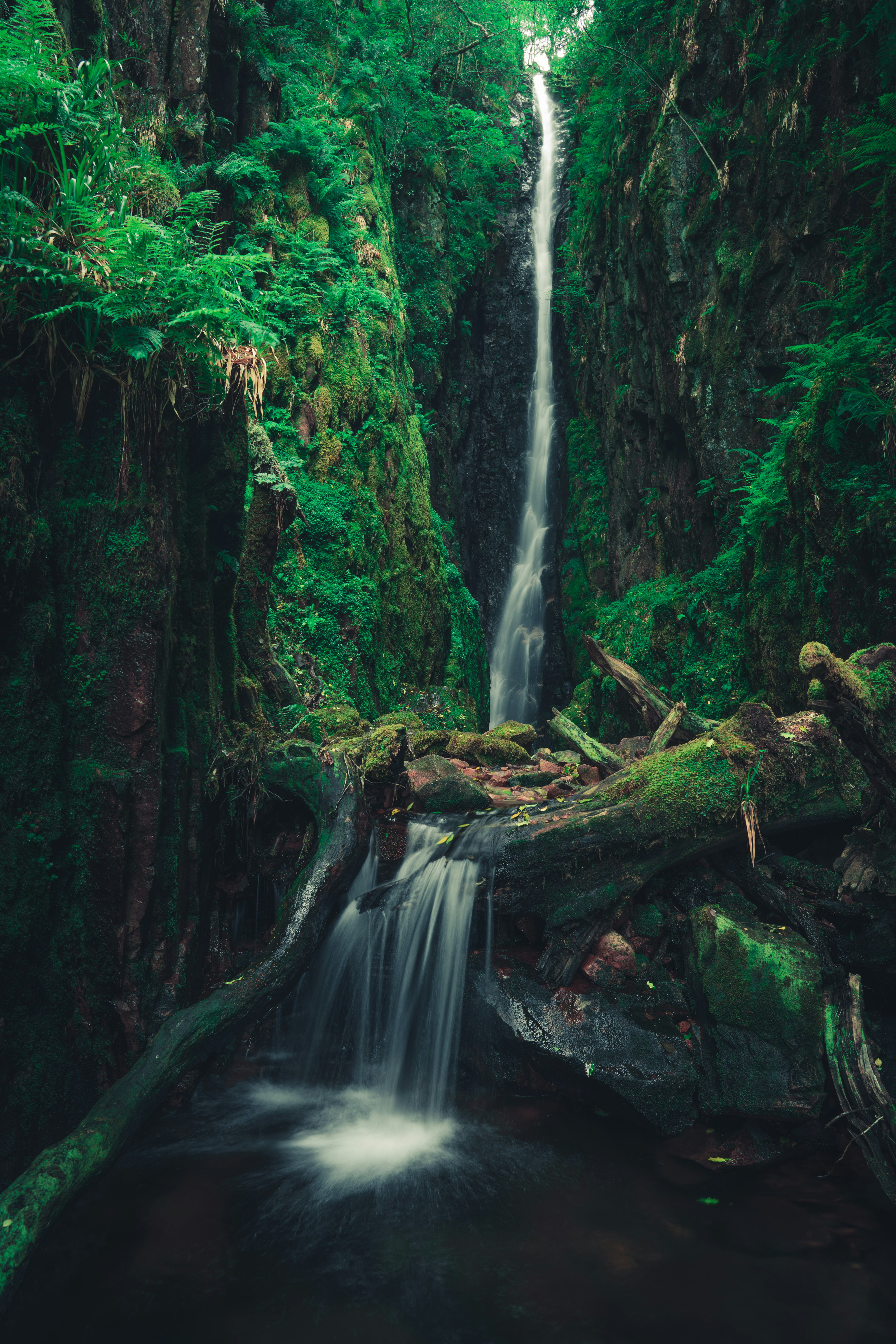 brown tree log in front of waterfalls